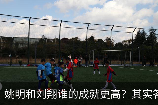 姚明和刘翔谁的成就更高？其实答案一目了然！