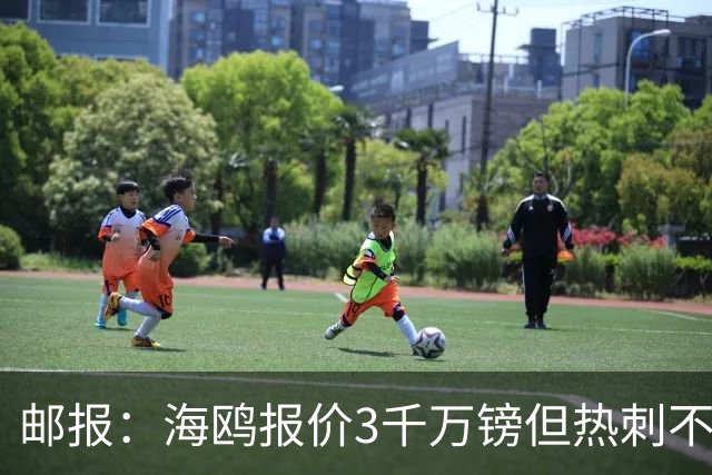 邮报：海鸥报价3千万镑但热刺不愿卖武什科维奇 巴萨国米拜仁关注